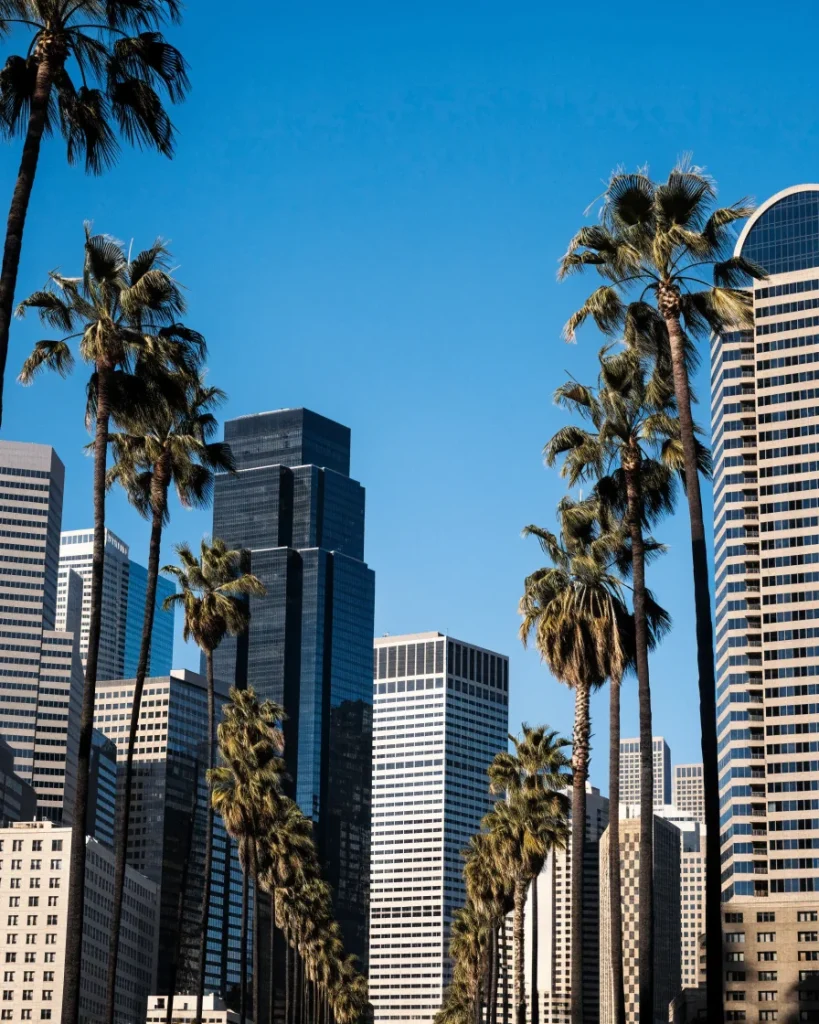 Los Angeles downtown skyline framed by palm trees
